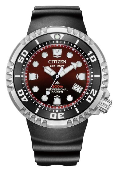 Citizen Promaster Professional Diver