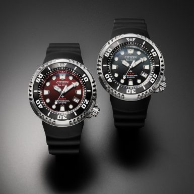 Citizen Promaster Professional Diver